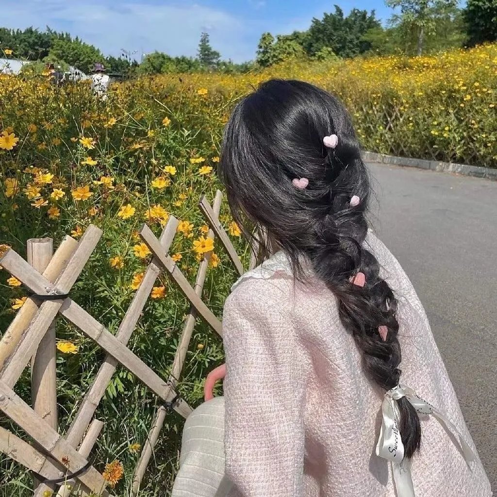 新沙洞燕子